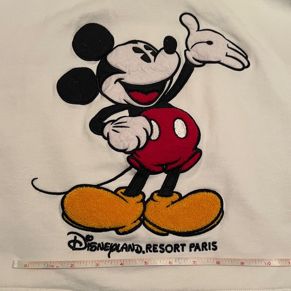Disneyland Resort Paris Zipper Hoodie - Picture 16 of 17